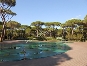 telo copripiscina camping